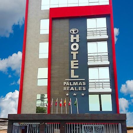 Hotel Palmas Reales トルヒーリョ エクステリア 写真